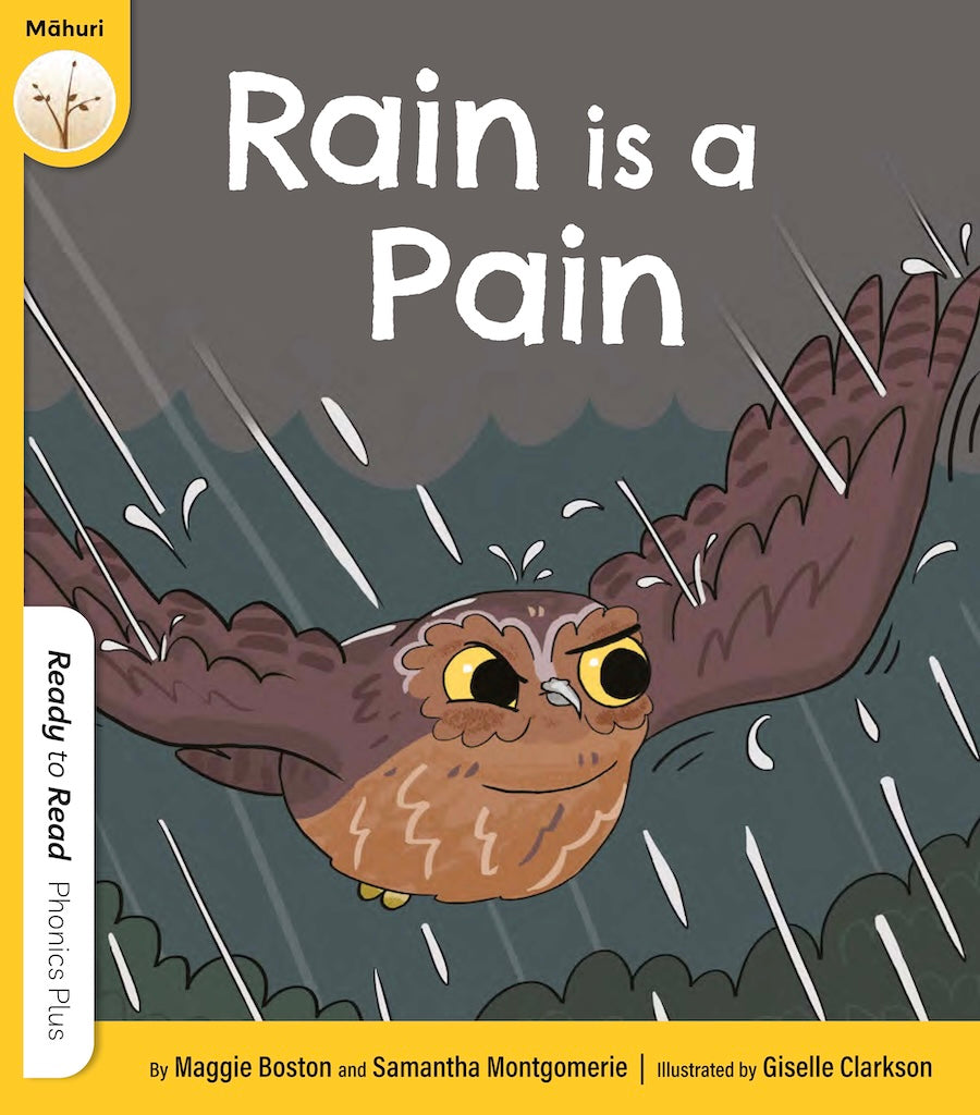 Phonics: Rain is a Pain Resource Pack
