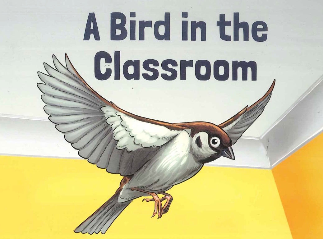 Yellow: A Bird in in the Classroom Resource Pack