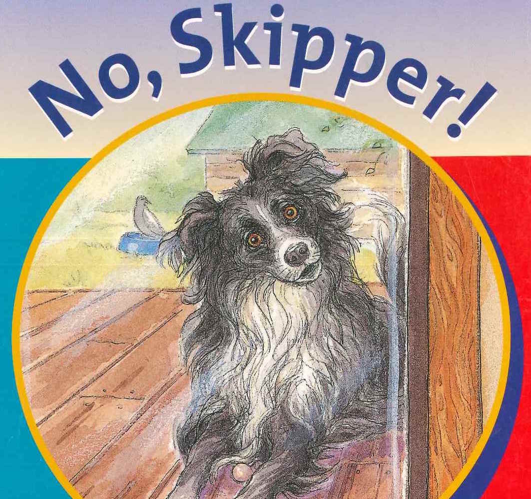 Blue: No Skipper Resource Pack