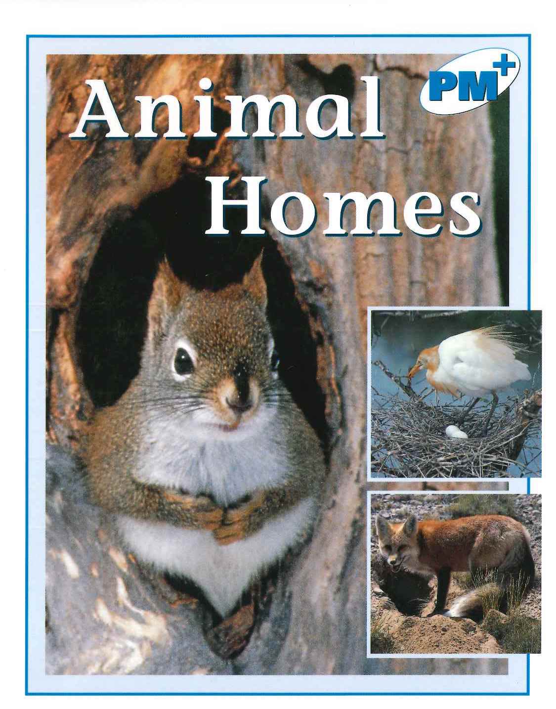 Blue: Animal Homes (PM) Resource Pack