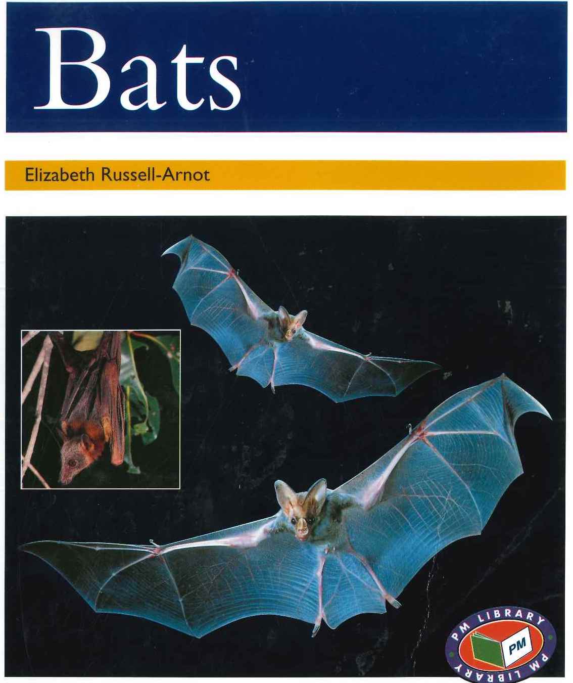 Gold: Bats (PM) Resource Pack