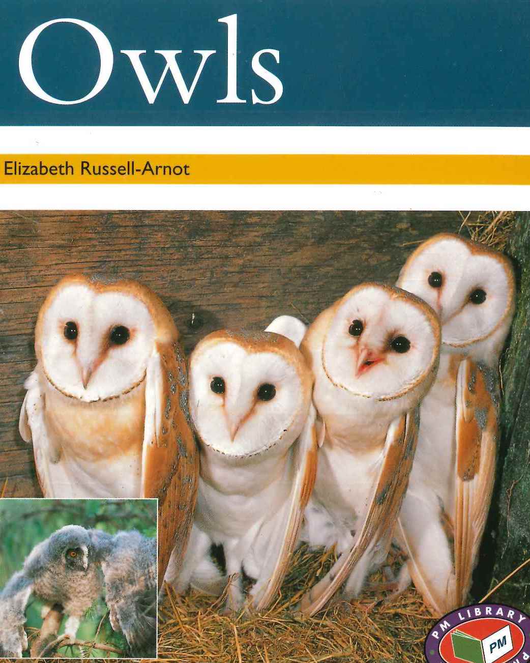 Gold: Owls (PM) Resource Pack