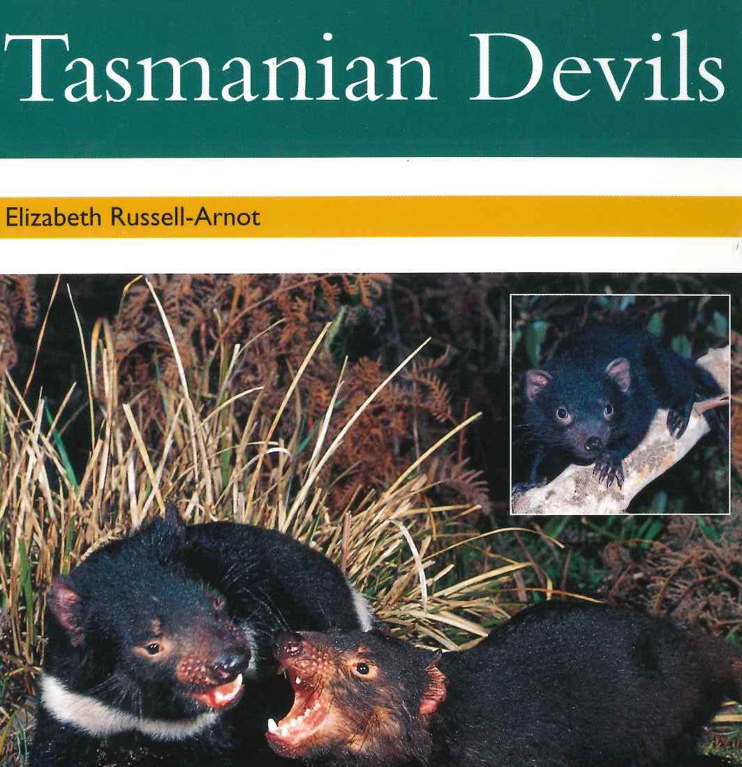 Gold: Tasmanian Devils (PM) Resource Pack