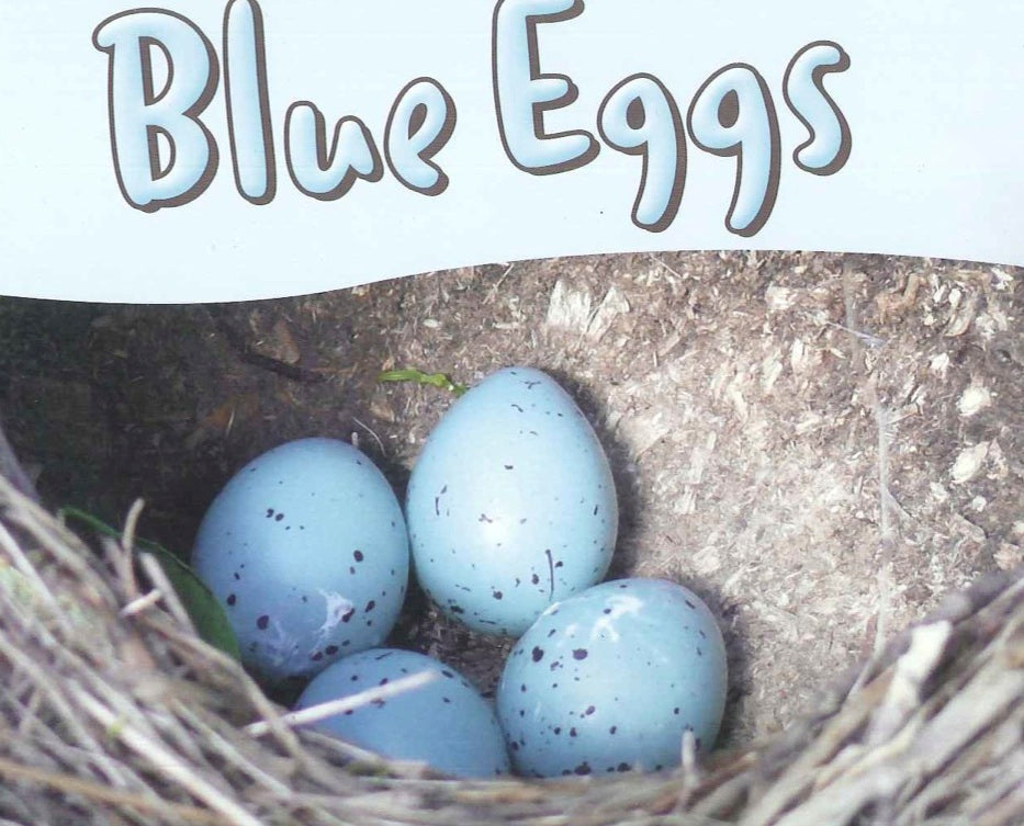 Gold: Blue Eggs Text and Audio