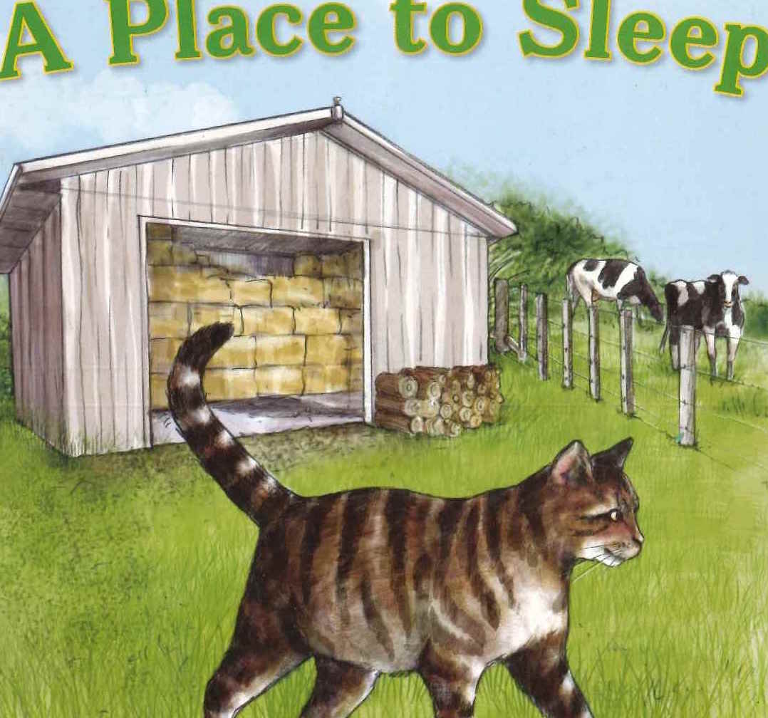 Green: A Place to Sleep Resource Pack