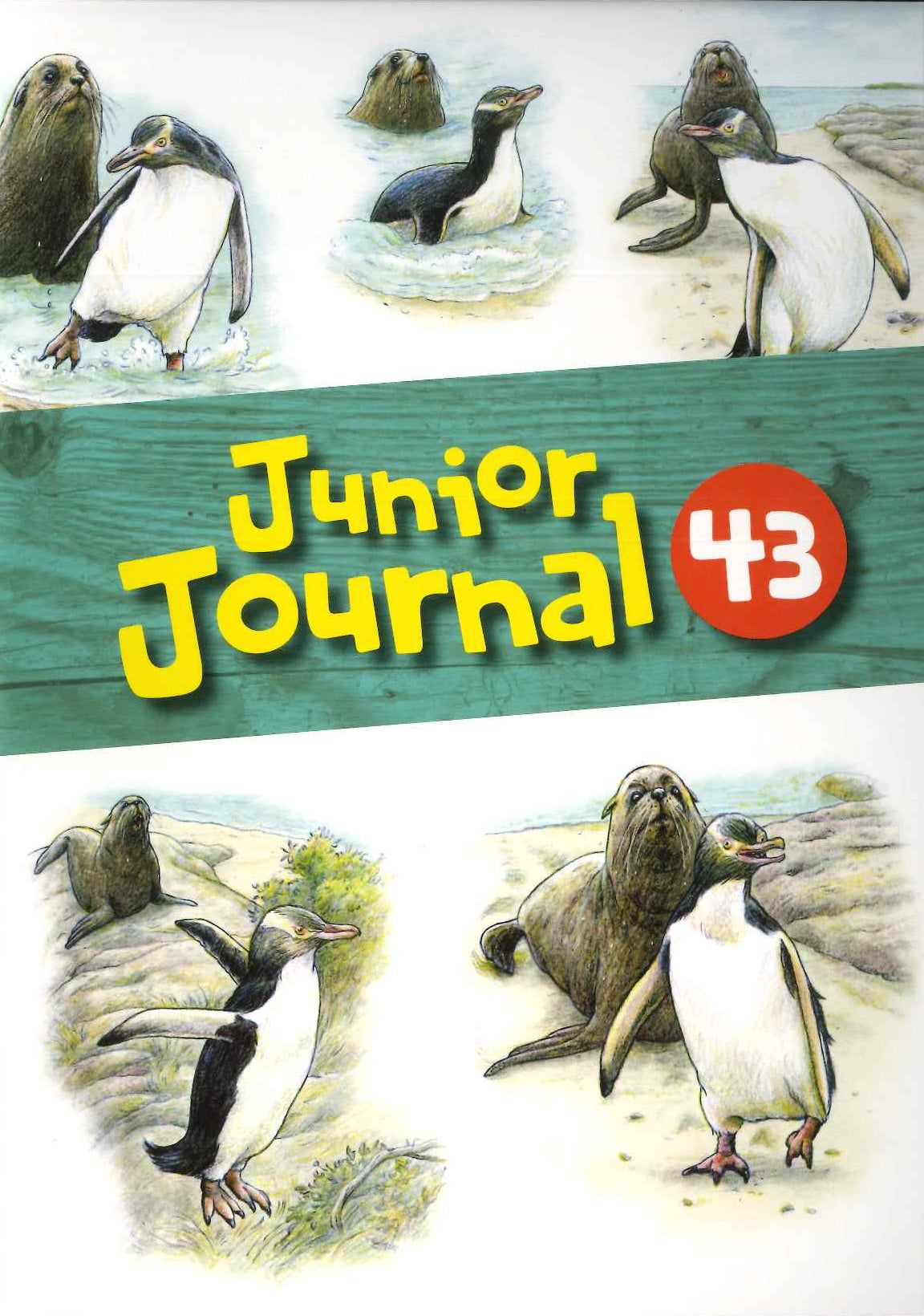 Junior Journal 43 Hoiho Poem Literacy Pack