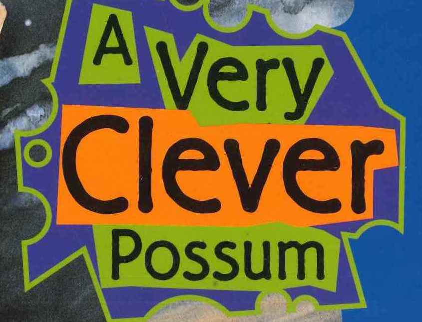 Orange: A Very Clever Possum Resource Pack