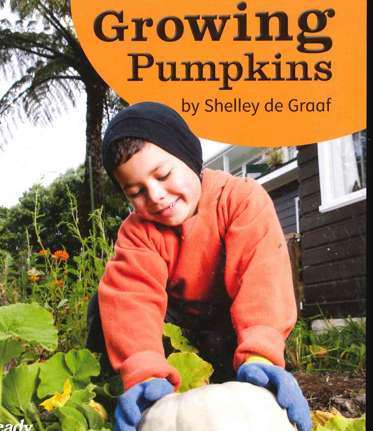 Orange: Growing Pumpkins Resource Pack