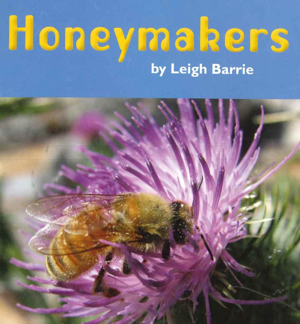 Orange: Honeymakers Resource Pack