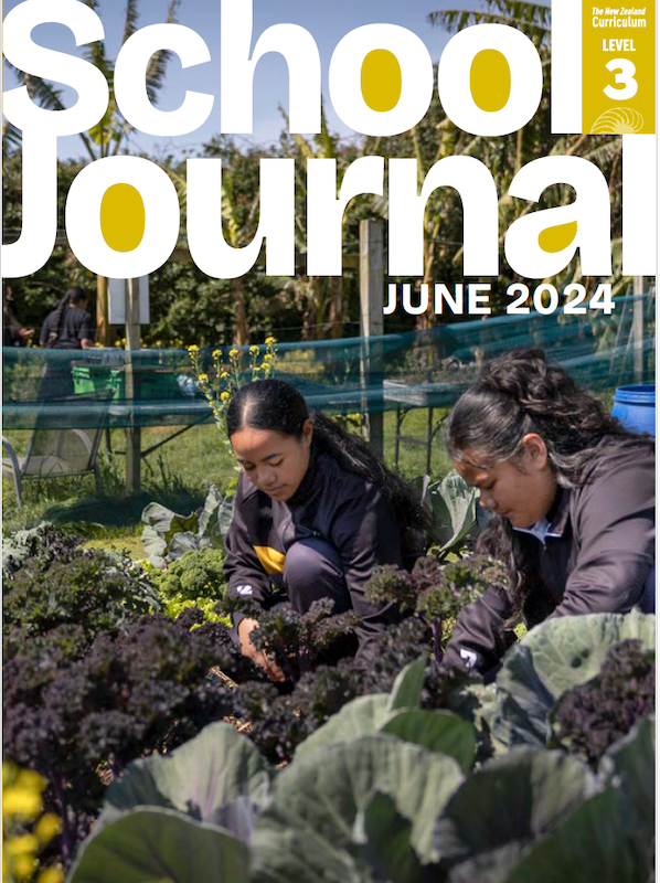 SJL3 June 2024: Banana Skins Literacy Pack