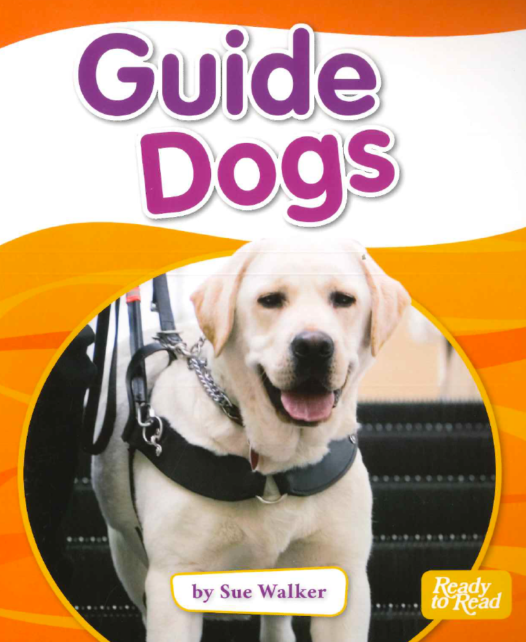 Purple: Guide Dogs Resource Pack