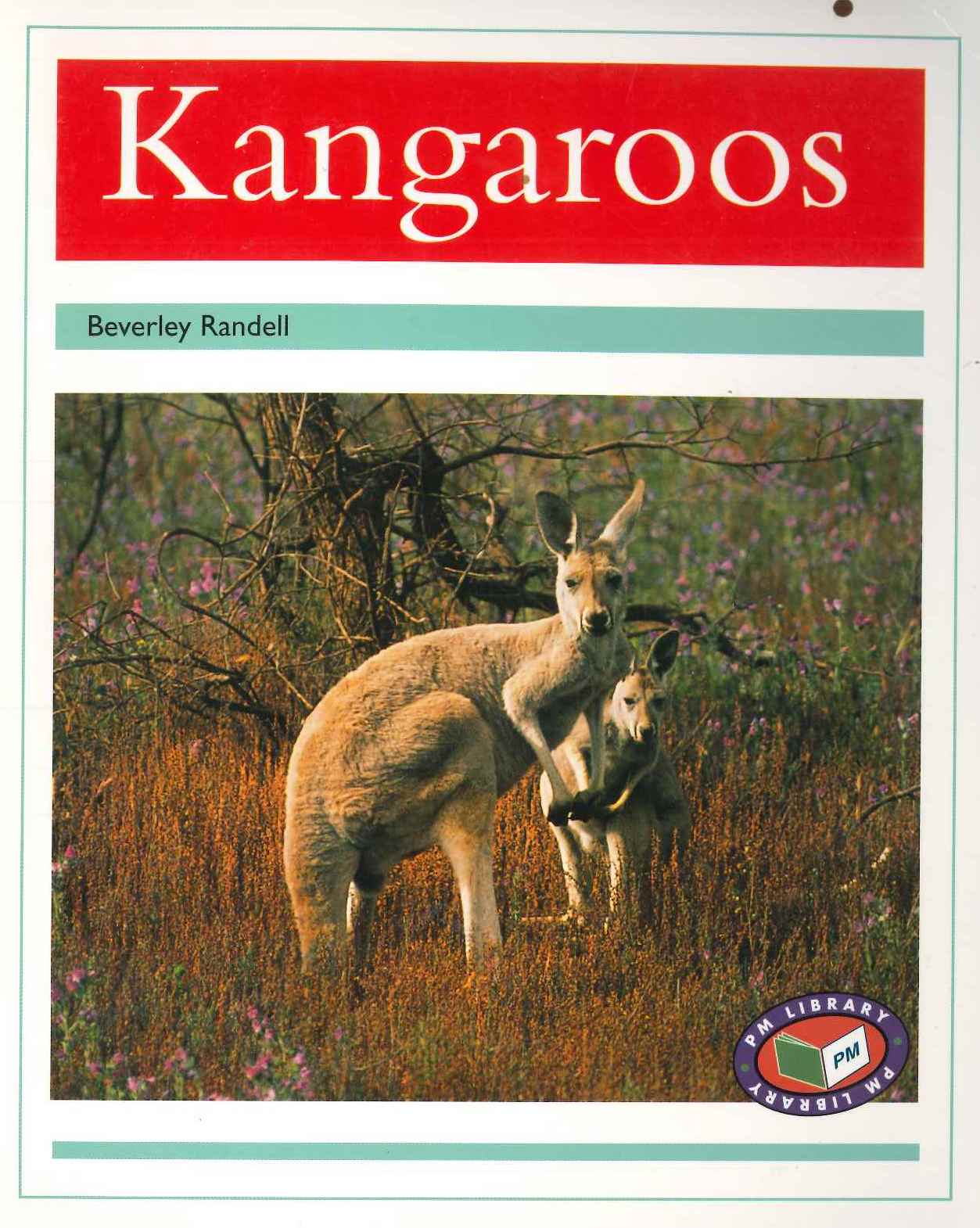 Turquoise: Kangaroos (PM) Resource Pack