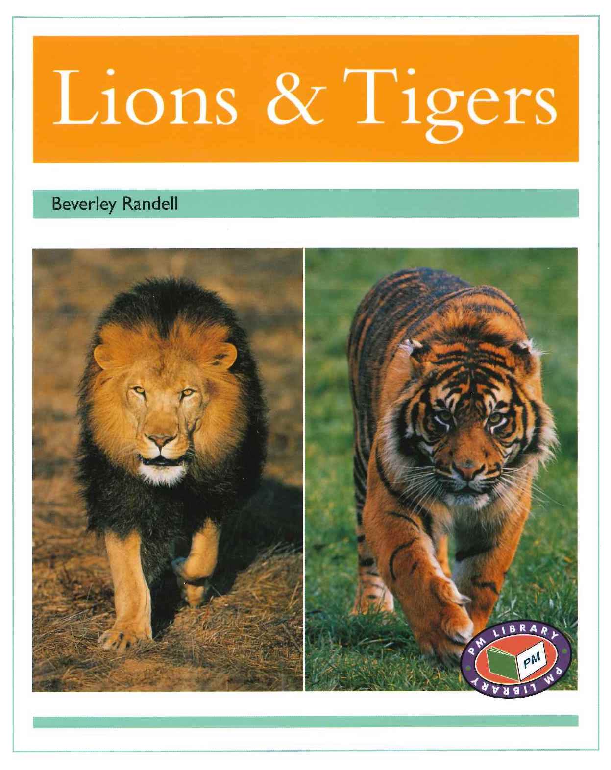 Turquoise: Lions and Tigers (PM) Resource Pack