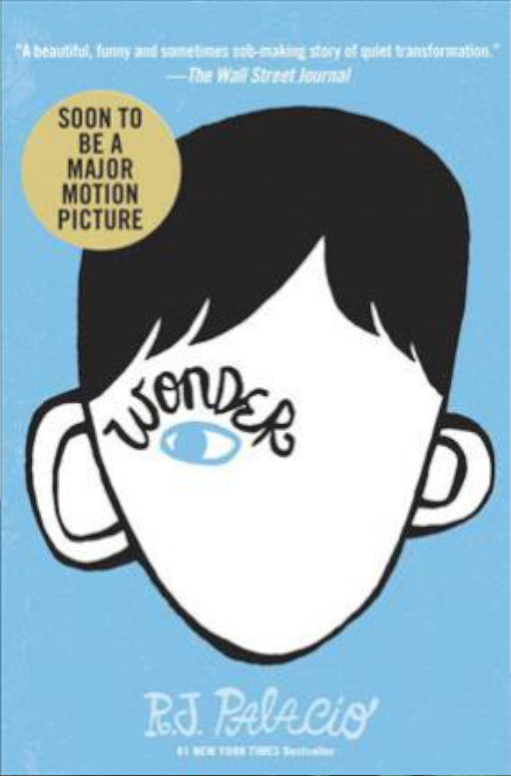 Wonder Guided Reading Plans