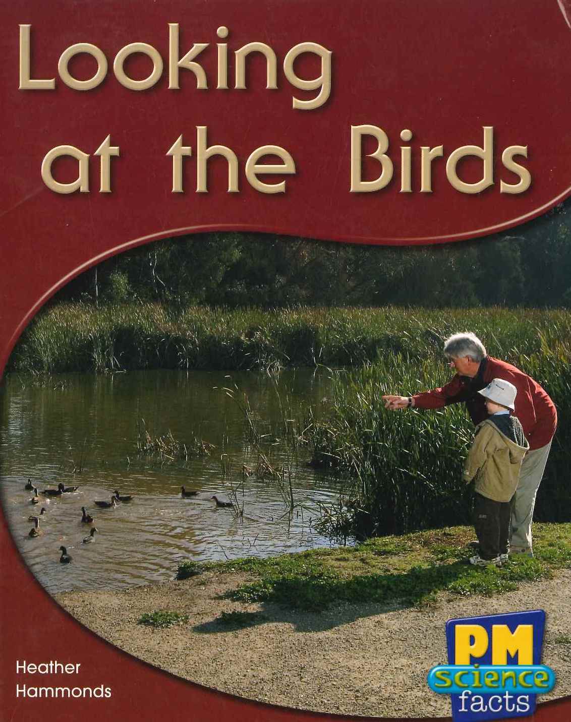 Yellow: Looking at the Birds (PM) Resource pack