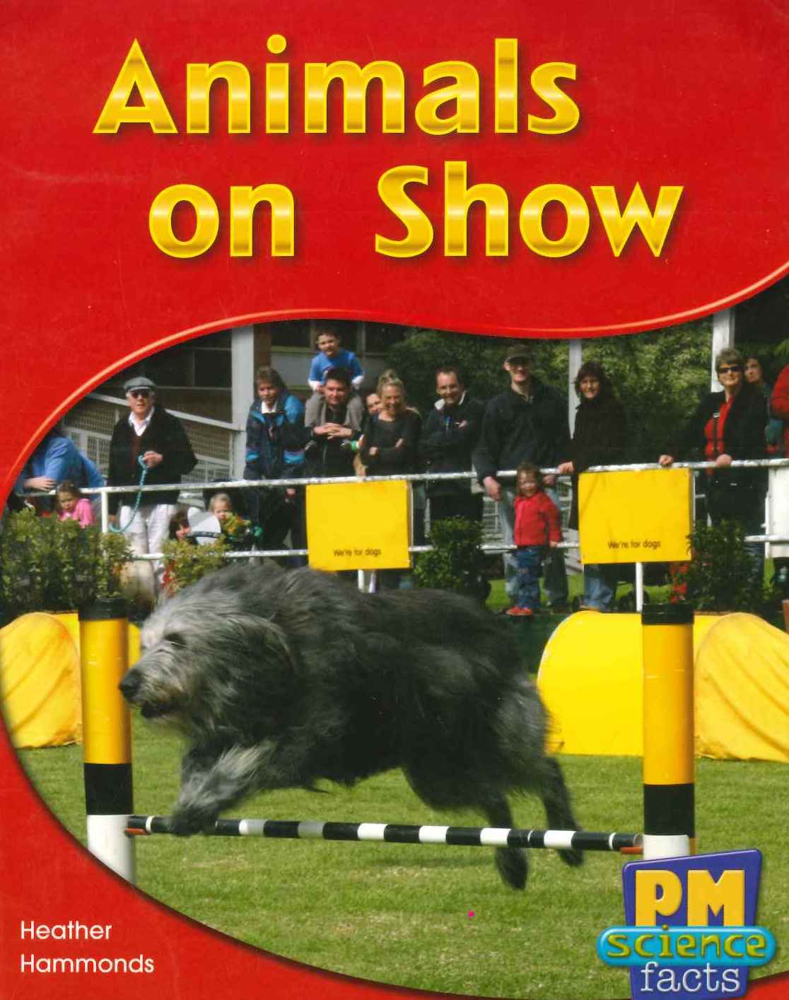 Yellow: Animals on Show (PM) Resource pack