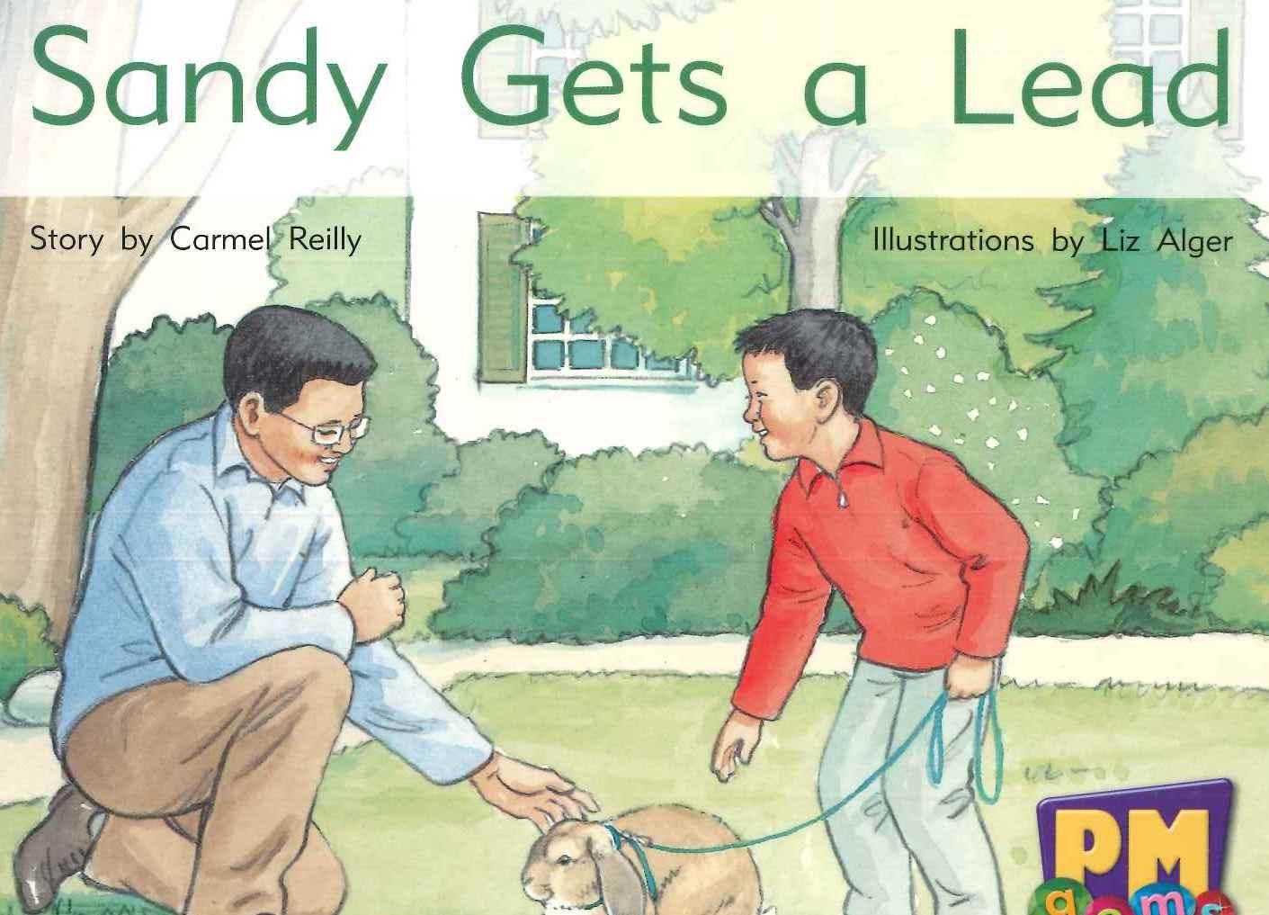 Yellow: Sandy Gets a Lead (PM) Resource Pack