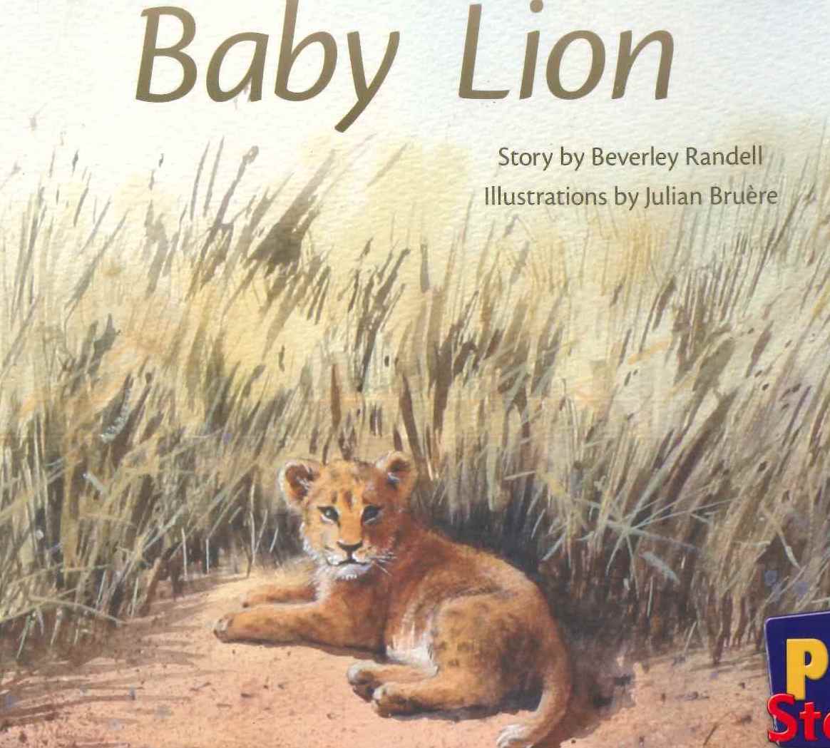 Red: Baby Lion (PM) Resource Pack