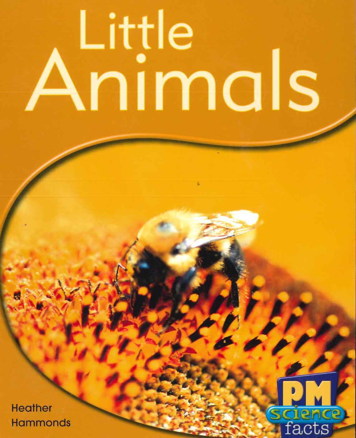 Yellow: Little Animals (PM) Resource Pack