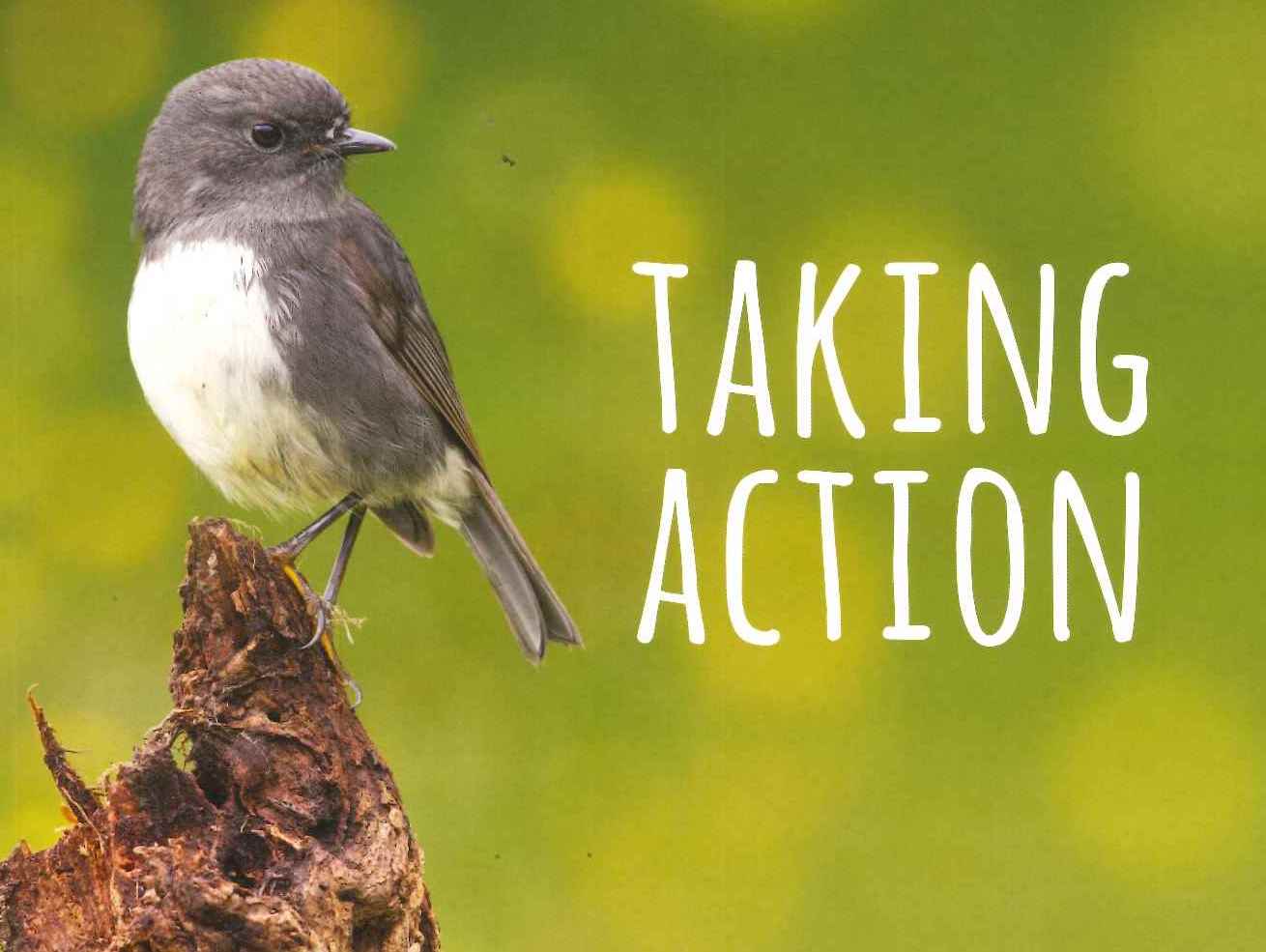 L2 Connected 2017 Bringing Back the Birdsong Literacy Pack