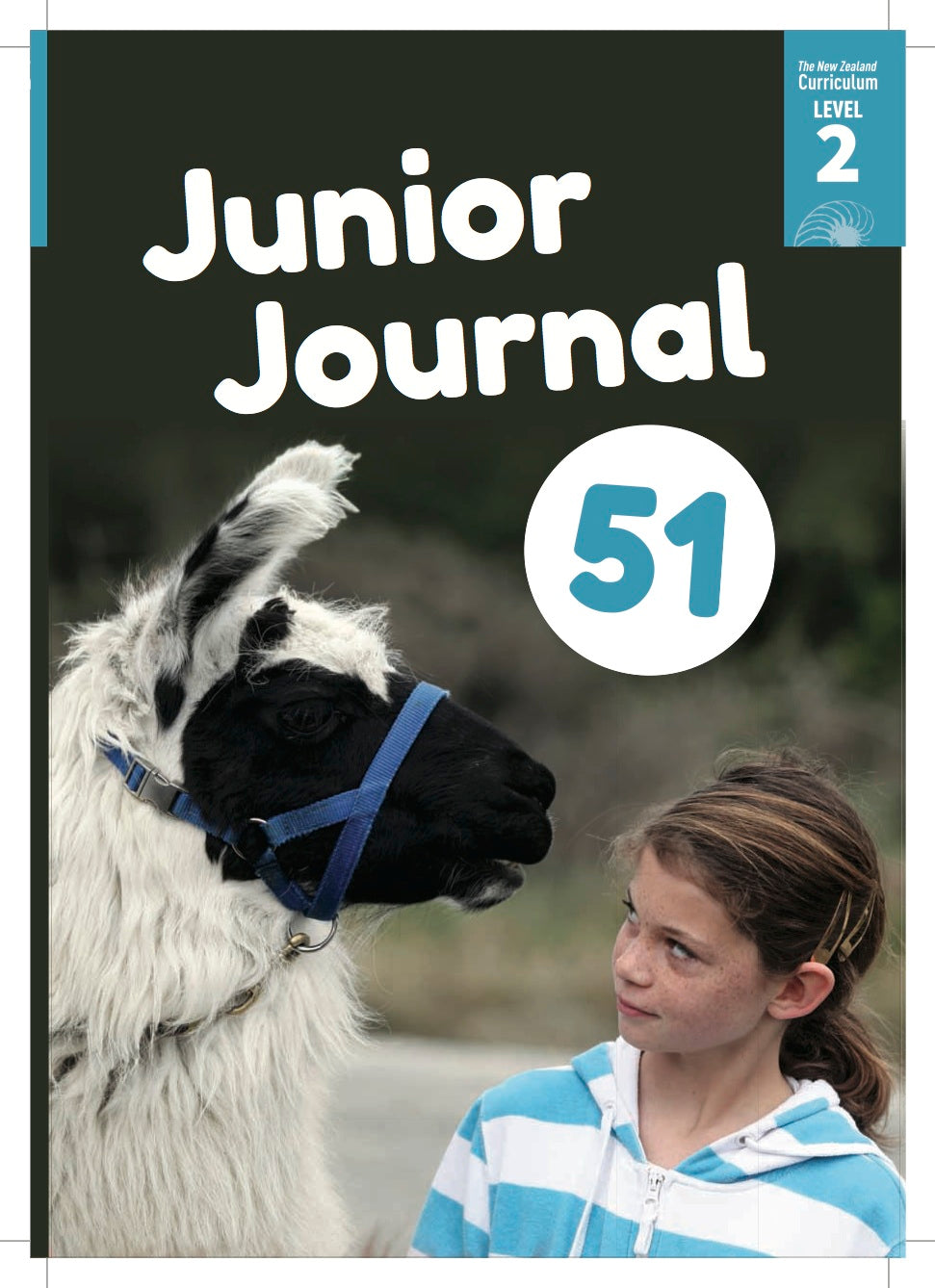 Junior Journal 51 No Big Deal Literacy Pack