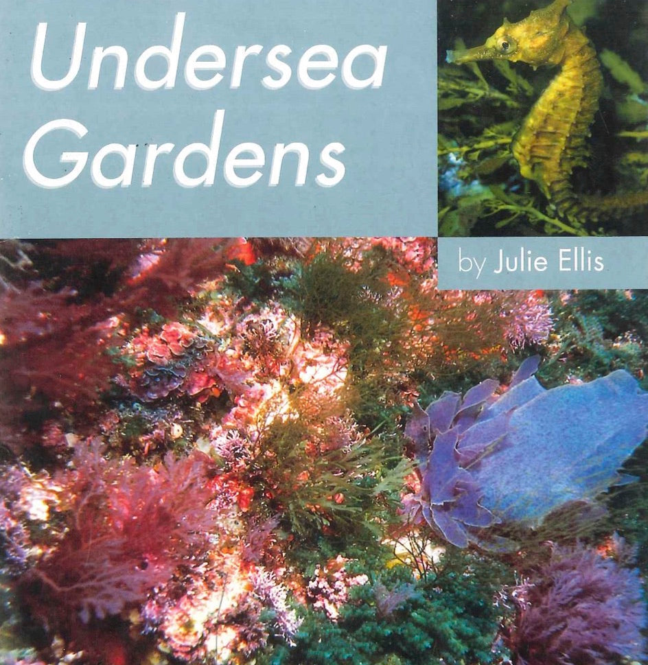 Gold: Undersea Gardens Audio Only