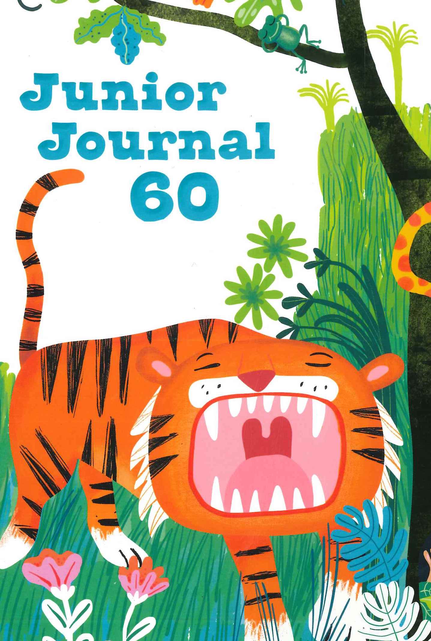 Junior Journal 60 Sleeping Tiger Play Literacy Pack