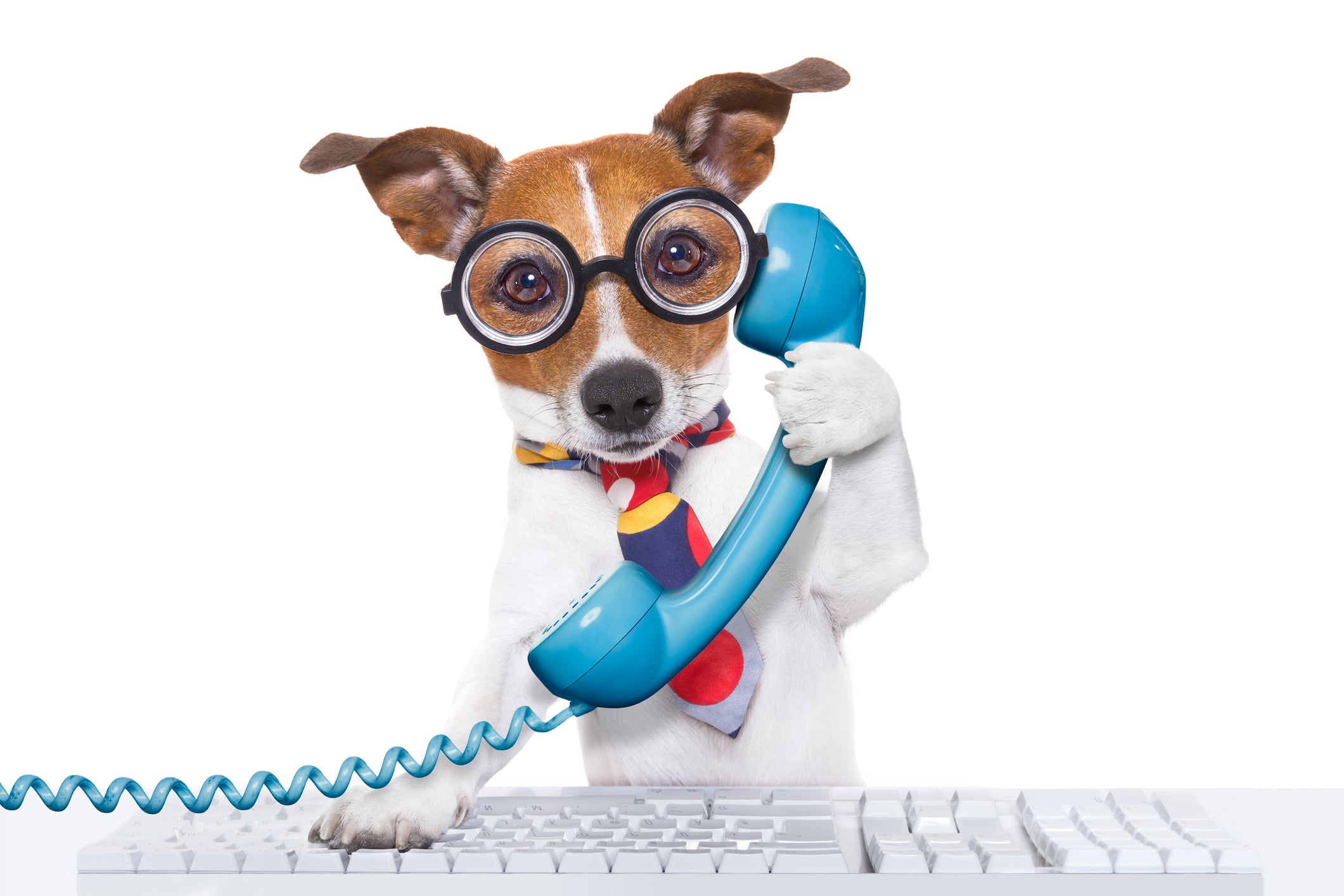 Dog Days: Visual Writing Prompt Pack